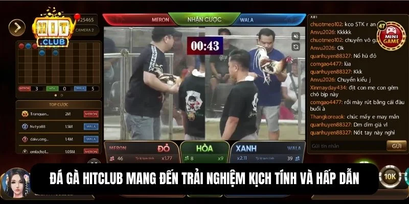 Hit Club | Cổng game đổi thưởng số 1 thị trường châu Á 14 Các trận đá gà tại đây đảm bảo tính minh bạch với tỷ lệ trả thưởng rõ ràng, dao động hợp lý giữa các cửa cược.